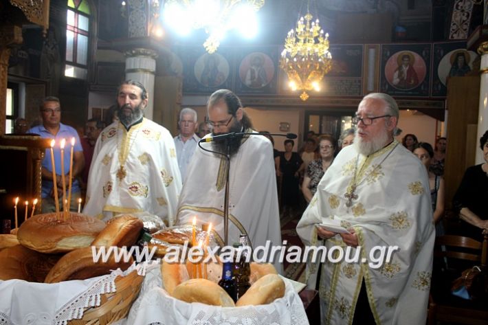 alexandriamou.gr_periforakipselis2019IMG_9910