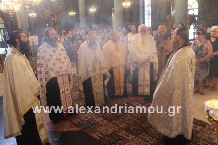 alexandriamou.gr_νισιπεριφορα2019023