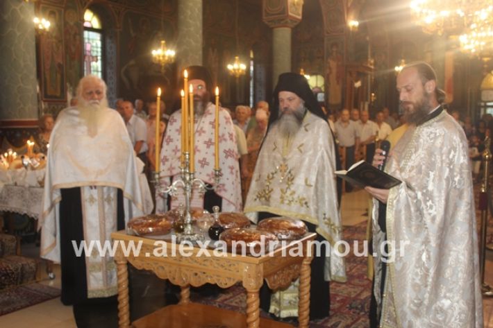 alexandriamou.gr_νισιπεριφορα2019052