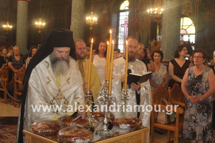 alexandriamou.gr_νισιπεριφορα2019058