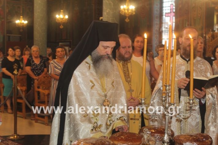 alexandriamou.gr_νισιπεριφορα2019060