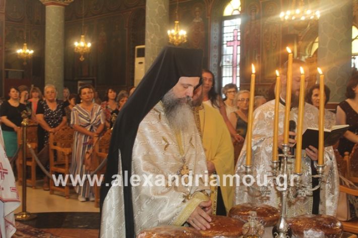 alexandriamou.gr_νισιπεριφορα2019061