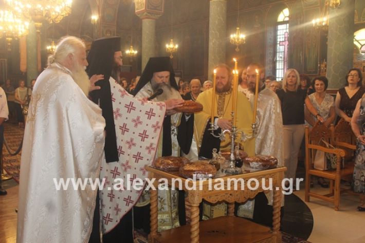 alexandriamou.gr_νισιπεριφορα2019071