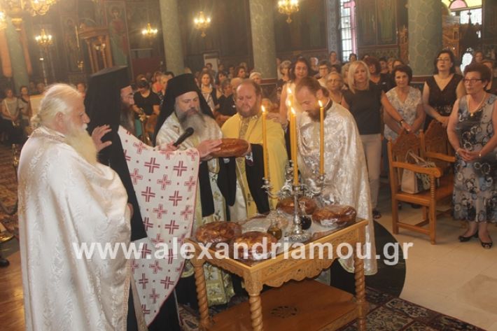 alexandriamou.gr_νισιπεριφορα2019073