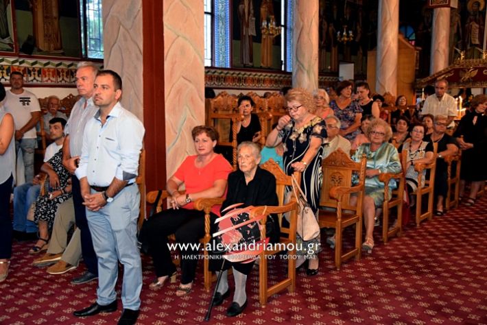 alexandriamou.gr_periforaplati2019DSC_0009