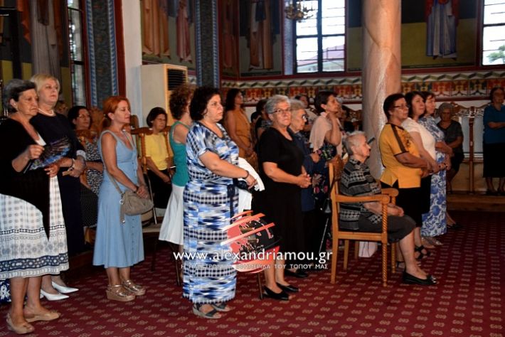 alexandriamou.gr_periforaplati2019DSC_0027