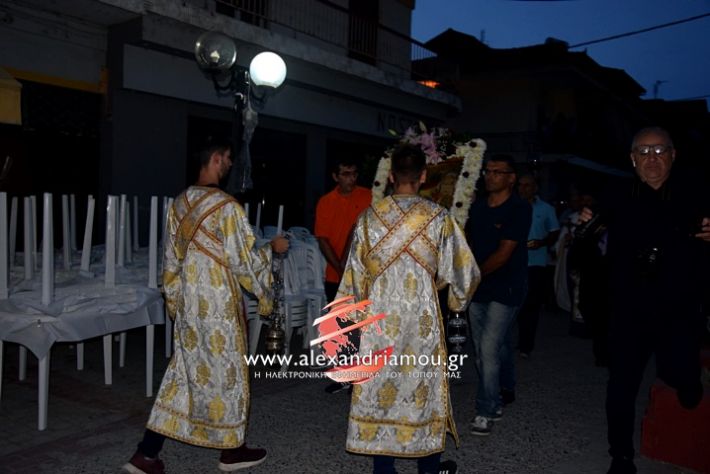 alexandriamou.gr_periforaplati2019DSC_0115