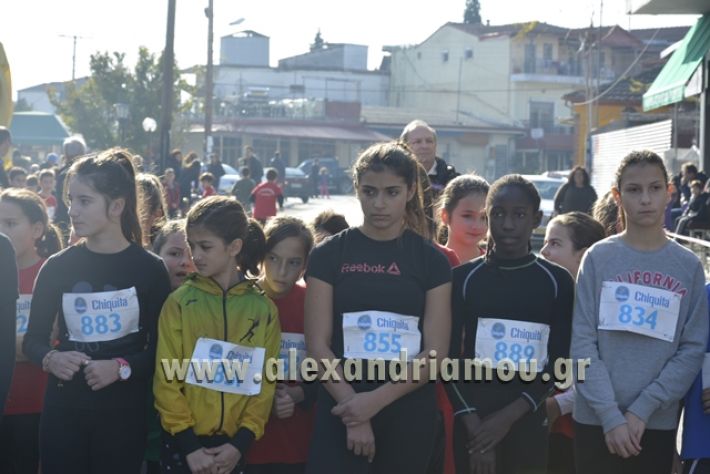 pertsoynia2017_melikh7