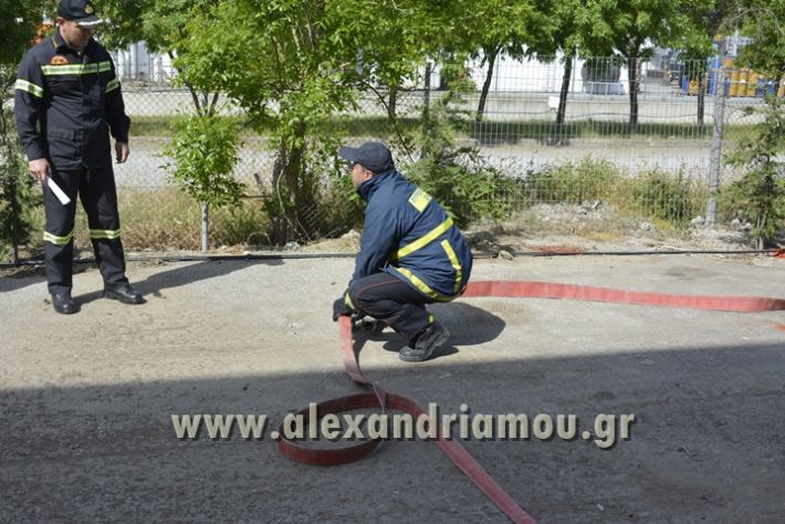 alexandriamou_askisi_purosvestikhs28031