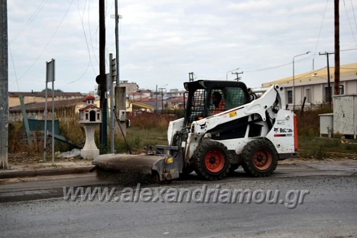 alexandriamou.gr_pisa1111DSC_0791