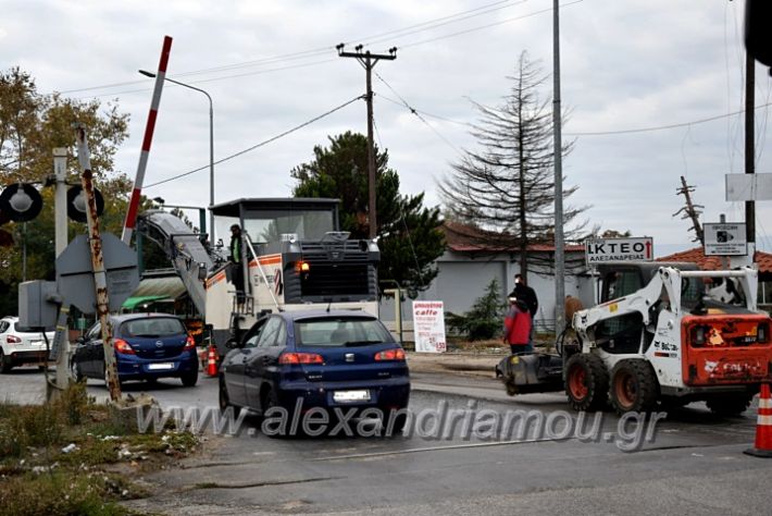 alexandriamou.gr_pisa1111DSC_0795