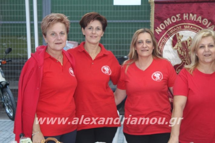 alexandriamou.gr_pita062019022