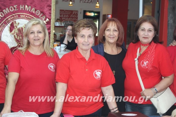 alexandriamou.gr_pita062019023