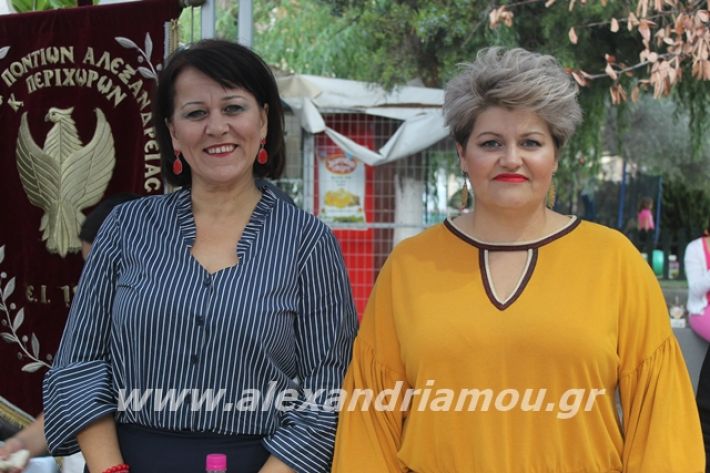 alexandriamou.gr_pita062019062