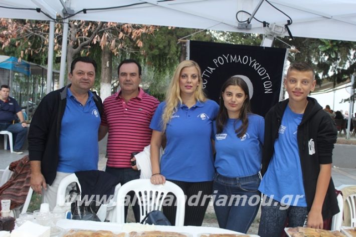 alexandriamou.gr_pita062019075