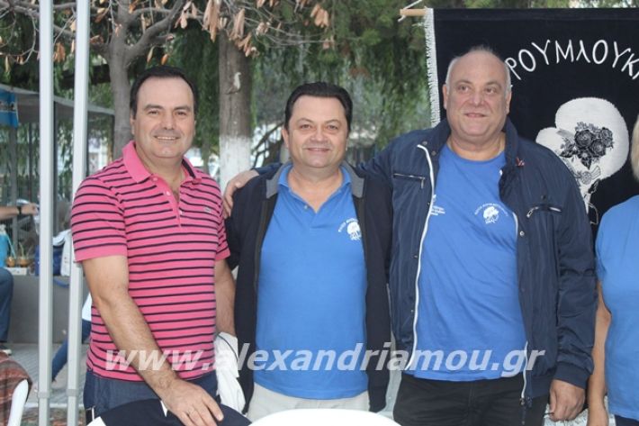 alexandriamou.gr_pita062019086