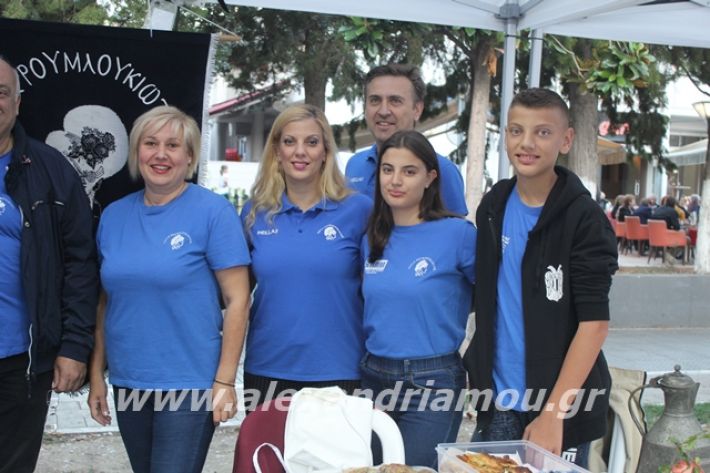 alexandriamou.gr_pita062019087