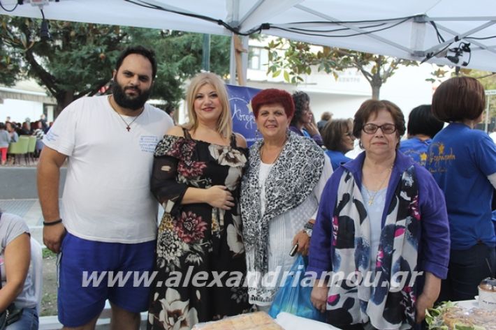 alexandriamou.gr_pita062019116