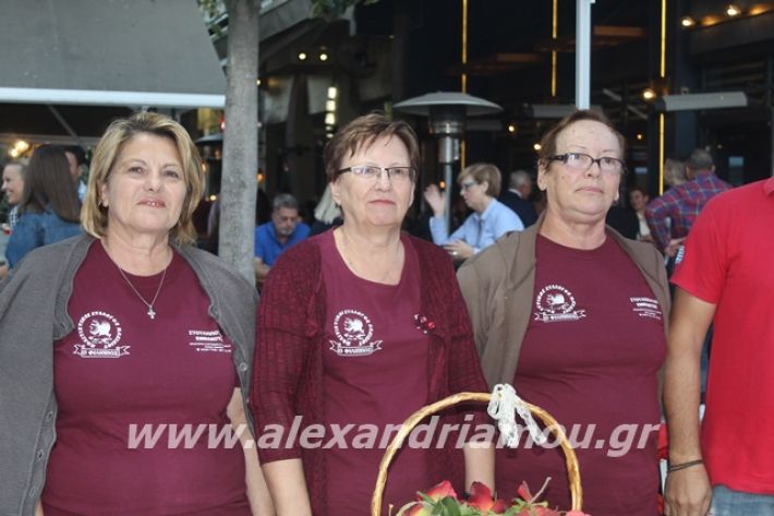 alexandriamou.gr_pita062019165