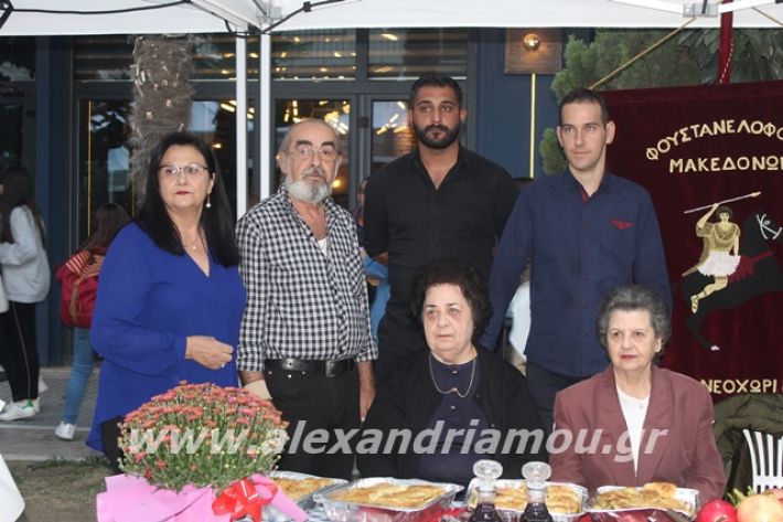 alexandriamou.gr_pita062019173