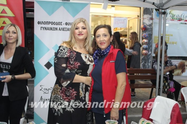 alexandriamou.gr_pita062019250