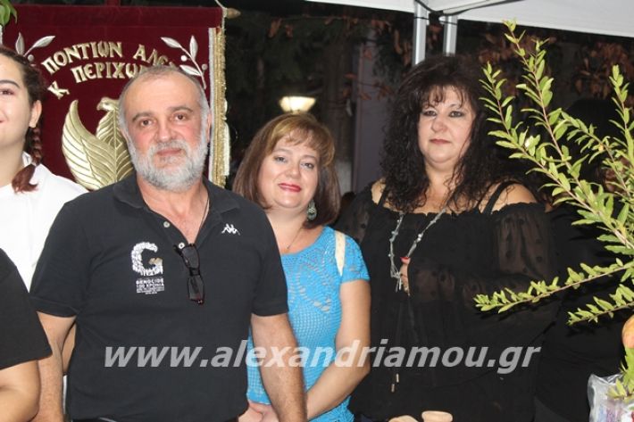 alexandriamou.gr_pita062019312