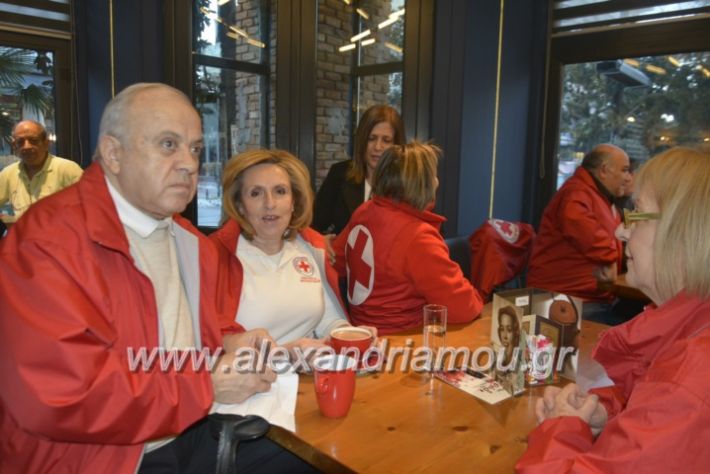 alexandriamou.pitadi,ou2019044