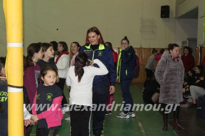 alexandriamou.gr_gaspitavolley20001