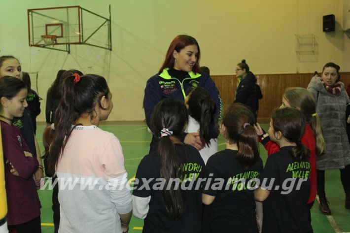 alexandriamou.gr_gaspitavolley20003