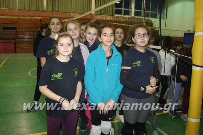 alexandriamou.gr_gaspitavolley20008