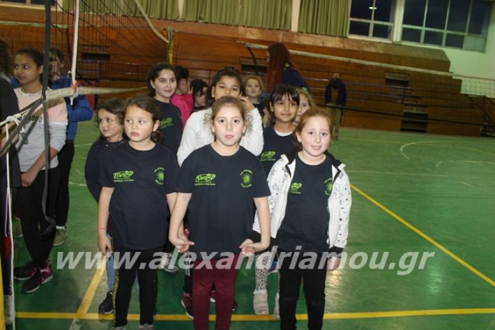 alexandriamou.gr_gaspitavolley20009