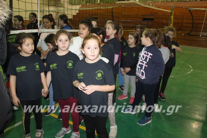 alexandriamou.gr_gaspitavolley20013