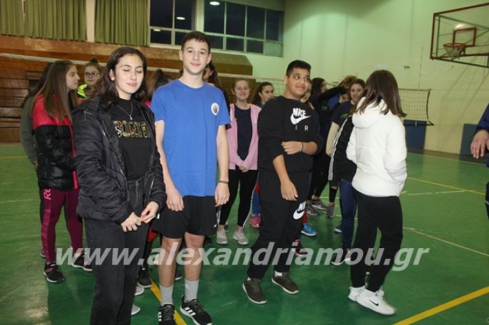 alexandriamou.gr_gaspitavolley20014