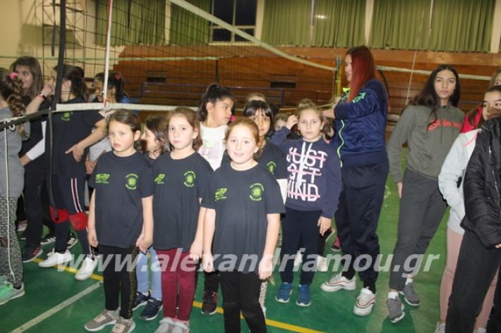 alexandriamou.gr_gaspitavolley20016