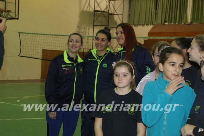 alexandriamou.gr_gaspitavolley20019