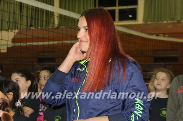 alexandriamou.gr_gaspitavolley20026