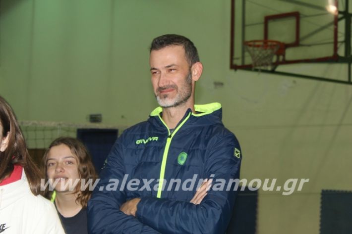 alexandriamou.gr_gaspitavolley20027