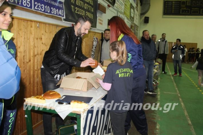 alexandriamou.gr_gaspitavolley20049