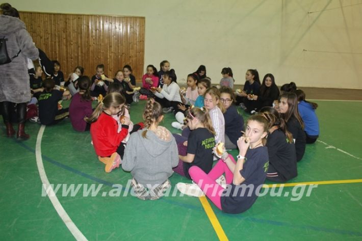 alexandriamou.gr_gaspitavolley20067