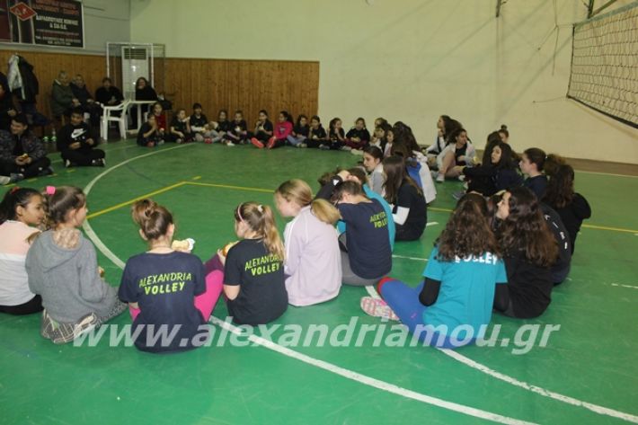 alexandriamou.gr_gaspitavolley20077