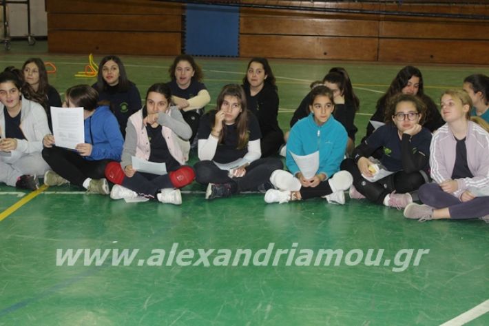 alexandriamou.gr_gaspitavolley20082