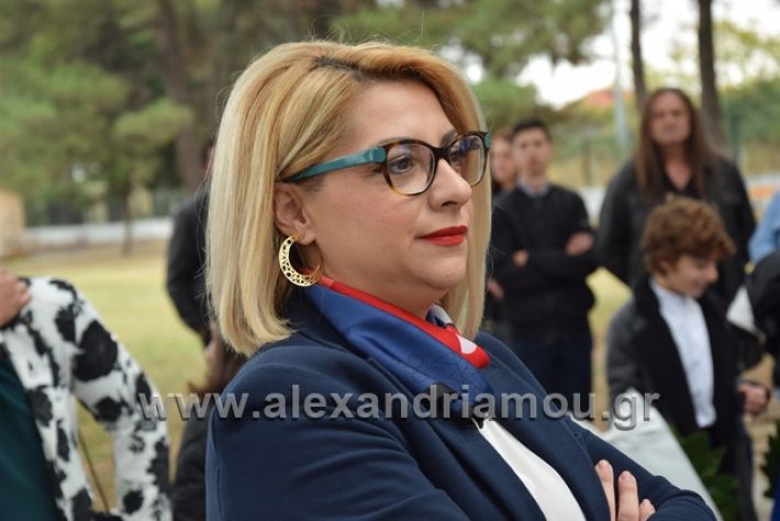 alexandriamou.gr_platu201828012