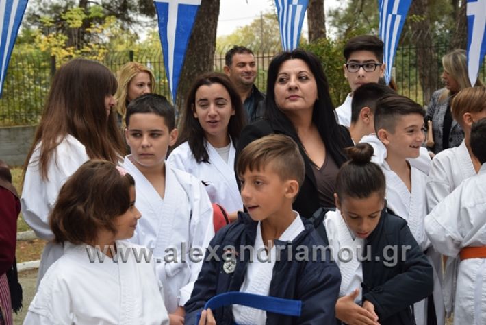 alexandriamou.gr_platu201828020