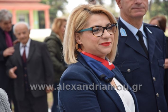 alexandriamou.gr_platu201828030