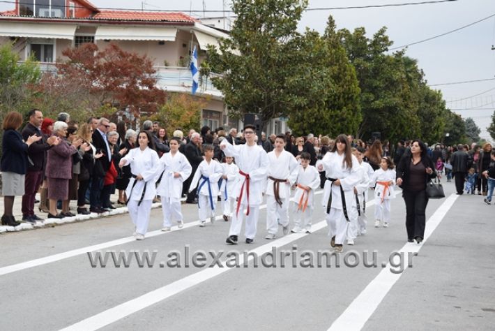 alexandriamou.gr_platu201828207