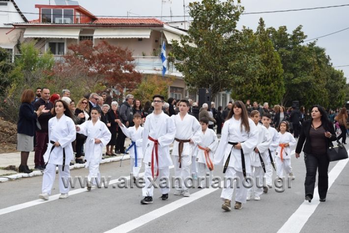 alexandriamou.gr_platu201828209