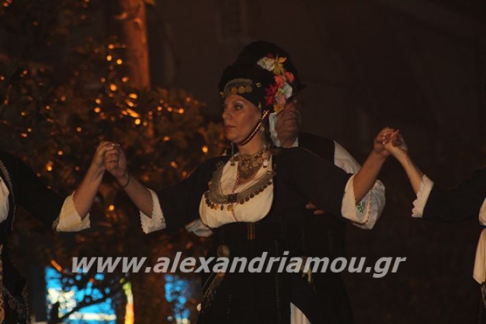 alexandriamou.gr_platyerasmos2019137