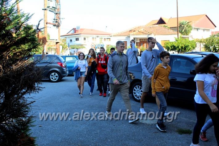 alexandriamou.gr_platierasmusproiIMG_0003