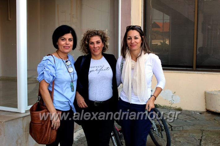 alexandriamou.gr_platierasmusproiIMG_0007