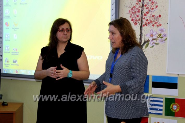 alexandriamou.gr_platiworkshopIMG_0439